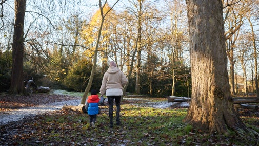 Mother and son walking in the woodland at Nostell